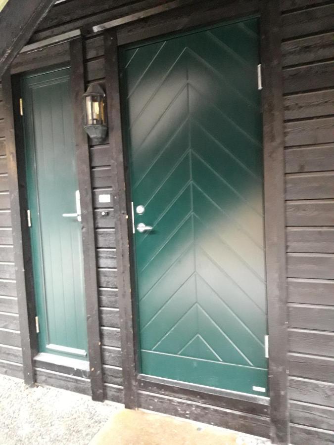 Apartement Roldal Alpingrend Exterior photo